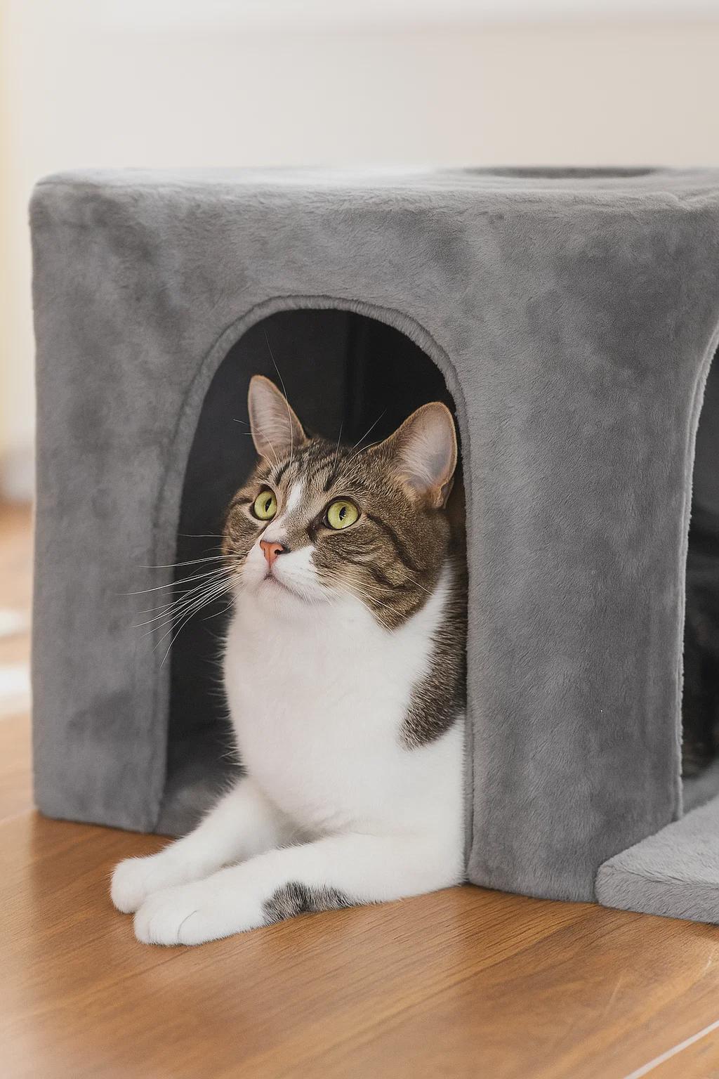 Compact Cat Tree with Sisal Scratching Post & Deep Hammock – Condo Tower for Kittens and Small Indoor Cats