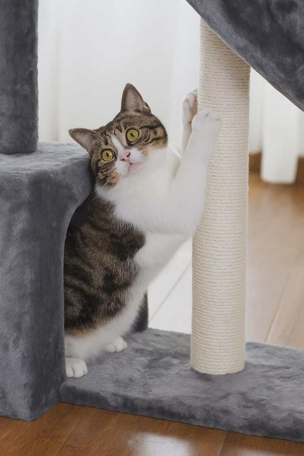 Compact Cat Tree with Sisal Scratching Post & Deep Hammock – Condo Tower for Kittens and Small Indoor Cats