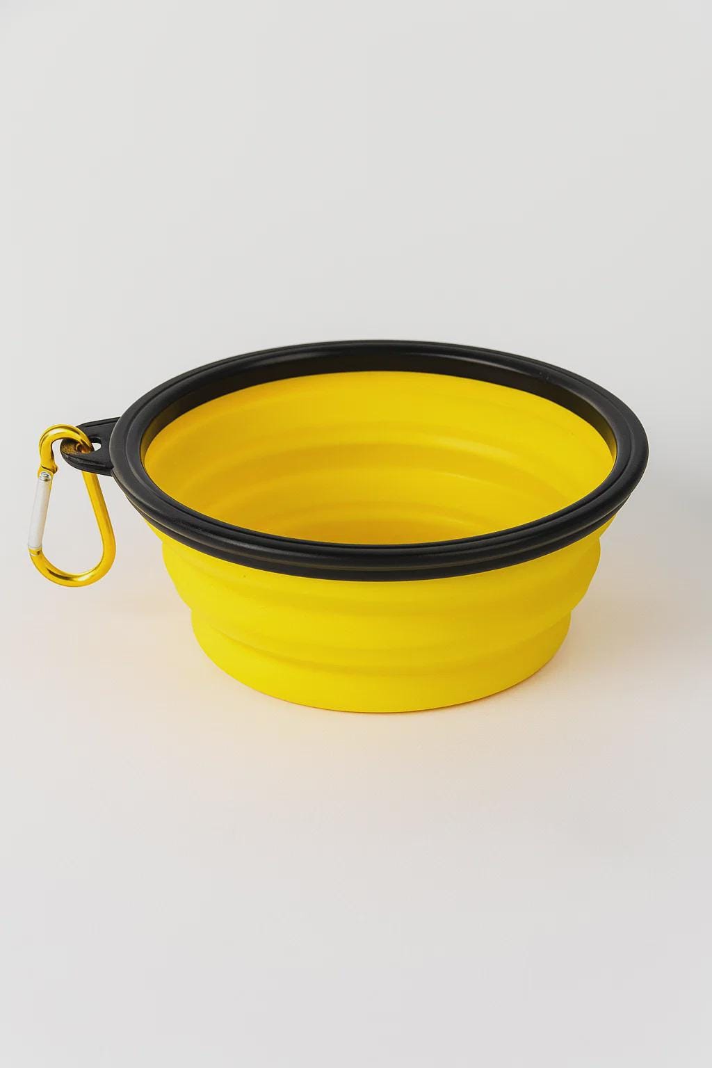 Collapsible Silicone Dog & Cat Bowl – Portable Travel Bowl with Carabiner, Pet Accessory for Hiking  Trips