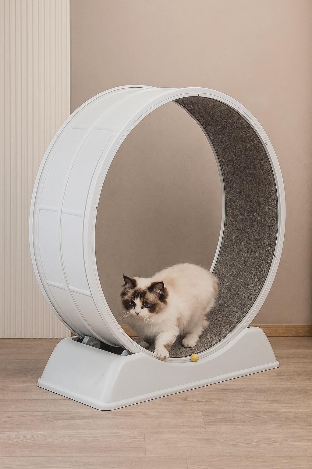 Cat Exercise Wheel – 31.5" Indoor Running Wheel with Brake, Sturdy Cat Treadmill for Fitness and Fun