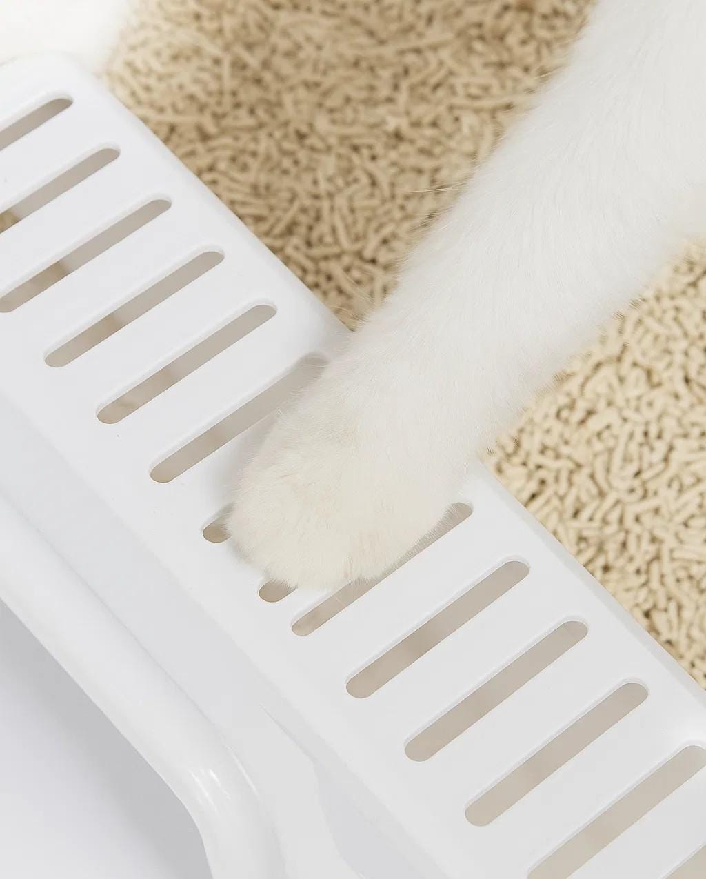 Foldable Covered Cat Litter Box with Scoop & Sifting Tray – Portable Kitty Toilet with Front Entry, Odor Control  Easy Cleaning