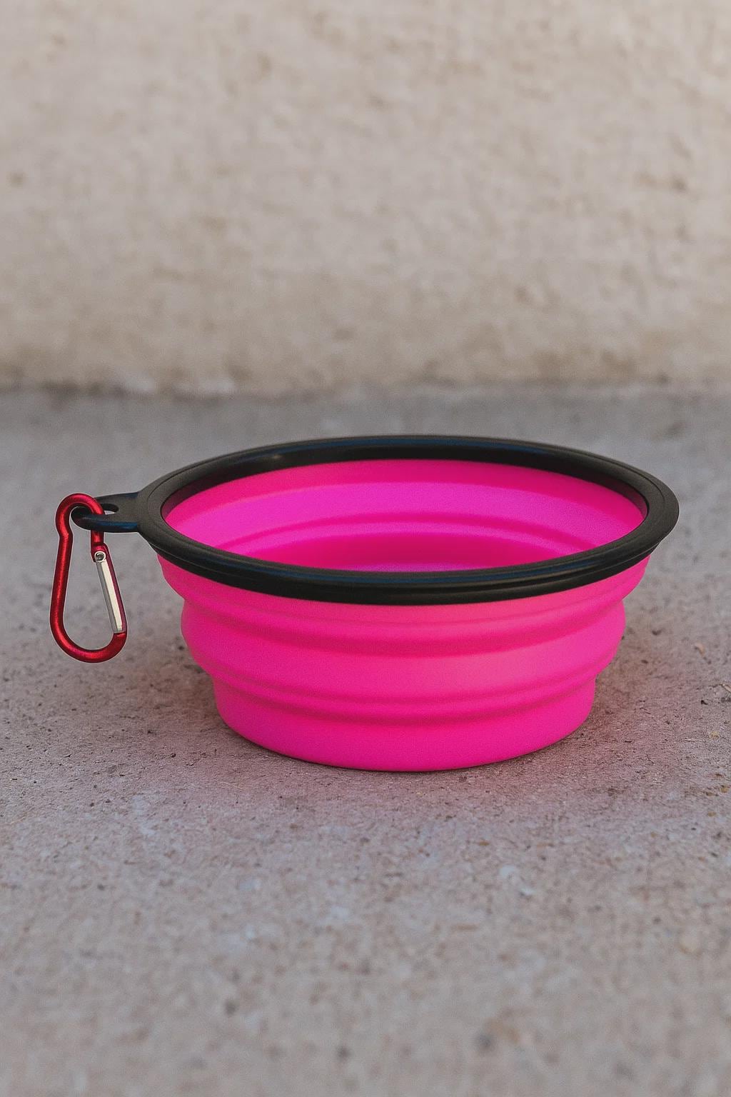 Collapsible Silicone Dog & Cat Bowl – Portable Travel Bowl with Carabiner, Pet Accessory for Hiking  Trips