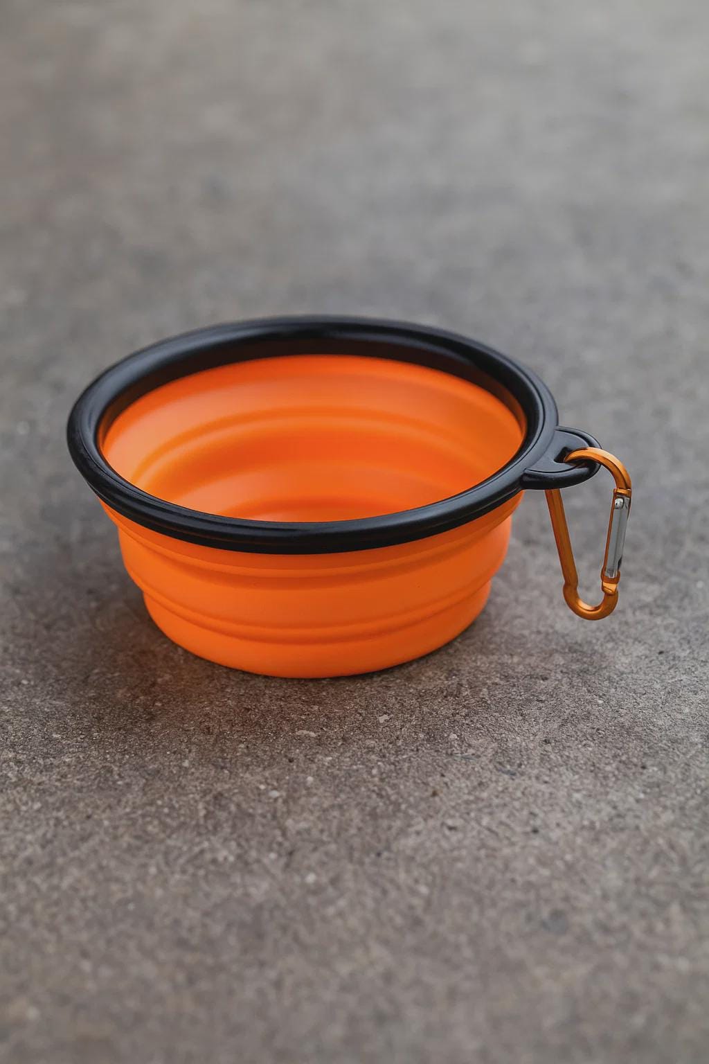 Collapsible Silicone Dog & Cat Bowl – Portable Travel Bowl with Carabiner, Pet Accessory for Hiking  Trips