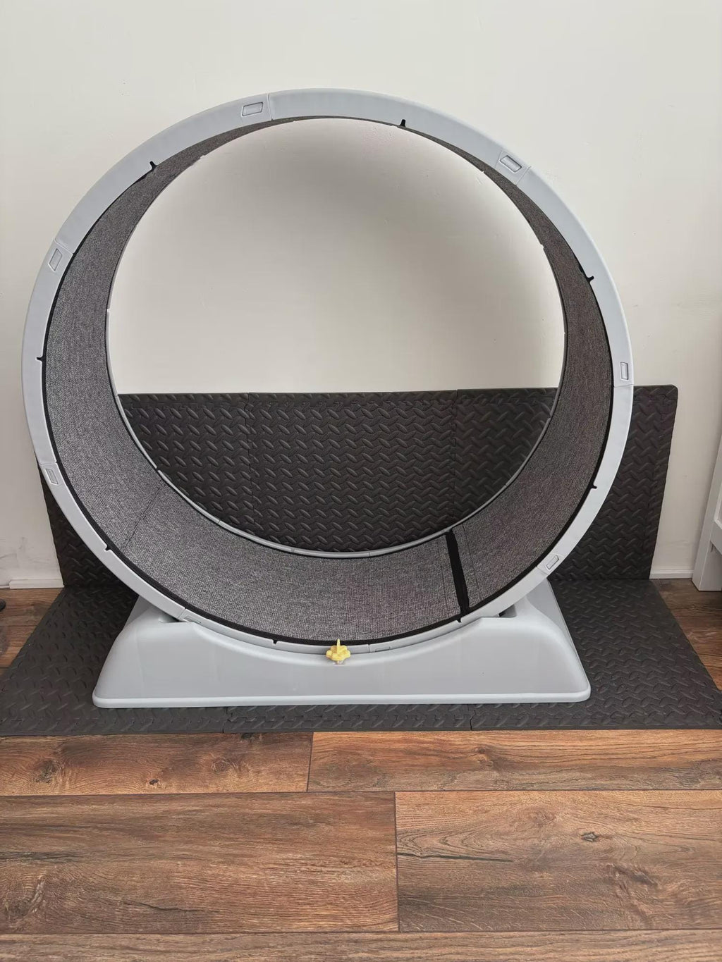 Cat Exercise Wheel – 31.5" Indoor Running Wheel with Brake, Sturdy Cat Treadmill for Fitness and Fun