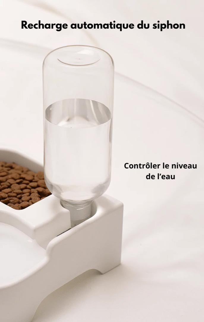 Automatic Pet Feeder for Dogs & Cats – 2-in-1 Water and Food Dispenser, Convenient Hydration  Feeding Solution